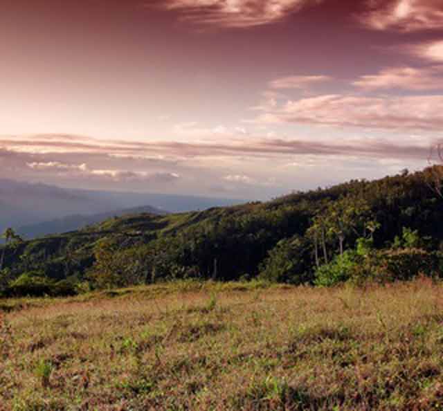 Freiwilligenarbeit in Costa Rica