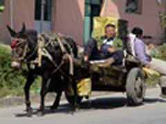 Freiwilligenarbeit in China