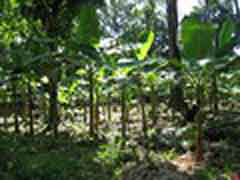 Freiwilligenarbeit in Costa Rica
