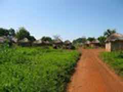 Freiwilligenarbeit in Ghana