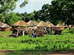 Freiwilligenarbeit in Ghana