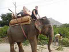 Freiwilligenarbeit in Indien