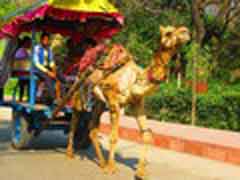 Freiwilligenarbeit in Indien