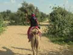 Freiwilligenarbeit in Indien