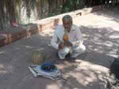 Freiwilligenarbeit in Indien