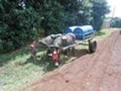 Freiwilligenarbeit in Kenia
