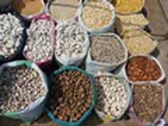 Freiwilligenarbeit in Peru