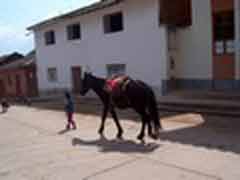 Freiwilligenarbeit in Peru