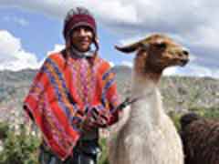 Freiwilligenarbeit in Peru