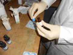 Freiwilligenarbeit in Südafrika