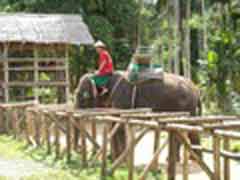 Freiwilligenarbeit in Thailand