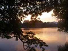 Freiwilligenarbeit in Vietnam